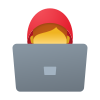 senior developers